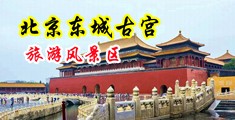 骚妇淫想被大鸡巴干的感觉真爽视频中国北京-东城古宫旅游风景区
